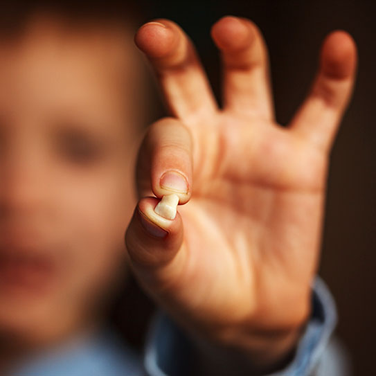 Tradiciones sobre los dientes de leche en otras culturas